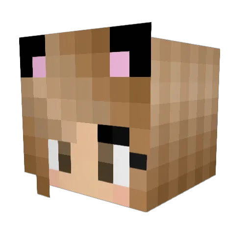sfprincess_ Minecraft avatar head, 3D render