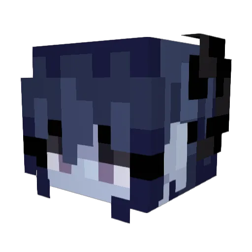 sfras80 Minecraft avatar head, 3D render