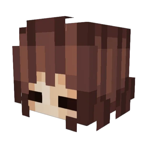 sfsd_ Minecraft avatar head, 3D render