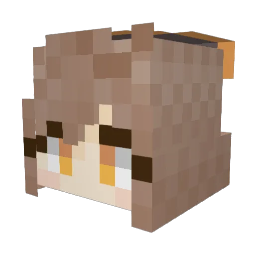 sfsffk Minecraft avatar head, 3D render