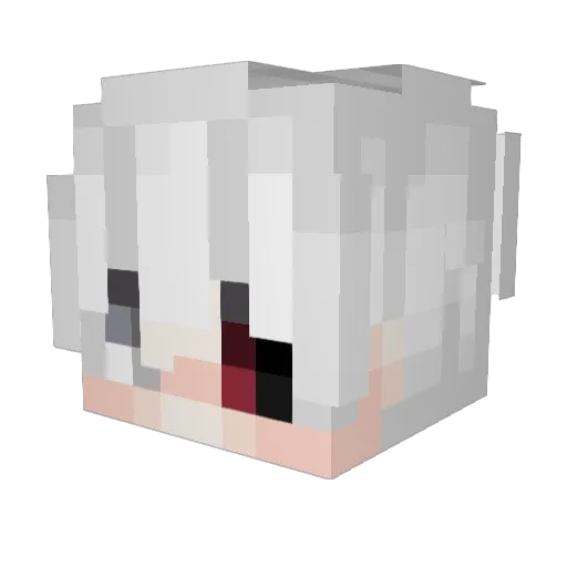 sgRR16 Minecraft avatar head, 3D render
