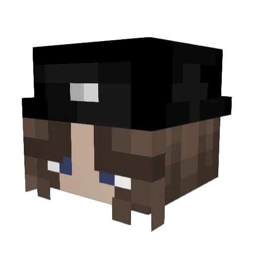 sgb1572 Minecraft avatar head, 3D render