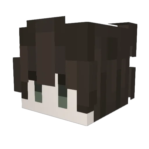 sgdsv Minecraft avatar head, 3D render