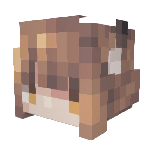 sgldjb Minecraft avatar head, 3D render