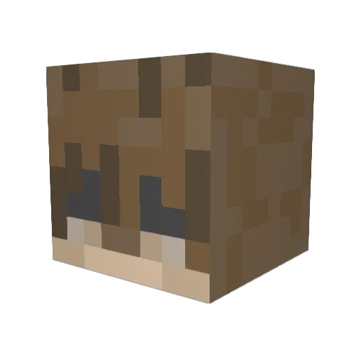 sglover31 Minecraft avatar head, 3D render