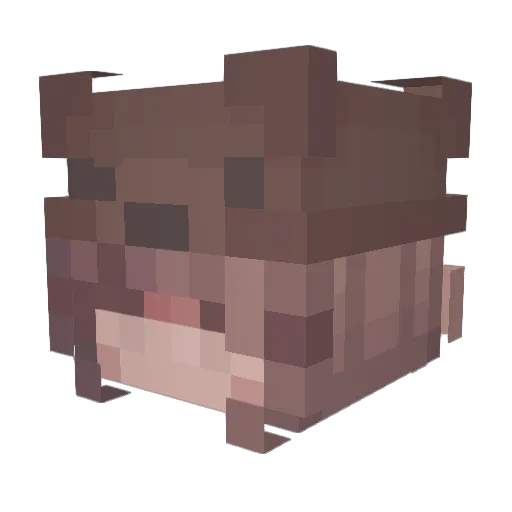 sgoha Minecraft avatar head, 3D render