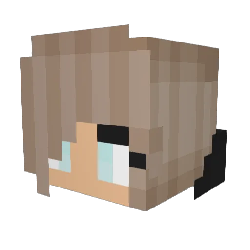 sgracie05 Minecraft avatar head, 3D render