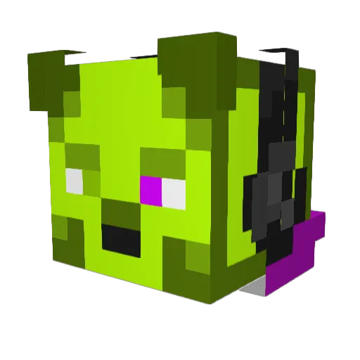 sgrb_ Minecraft avatar head, 3D render