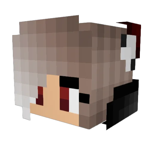 sgsfgfsdgfdgfd Minecraft avatar head, 3D render