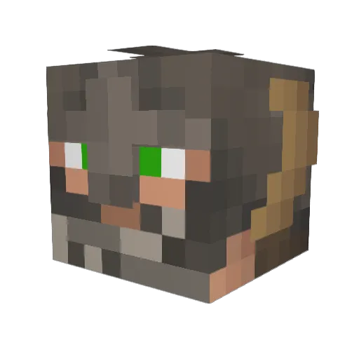 sgsgsd Minecraft avatar head, 3D render