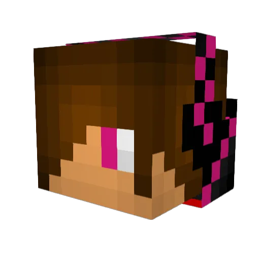 sgtSPARKLEZ1212 Minecraft avatar head, 3D render