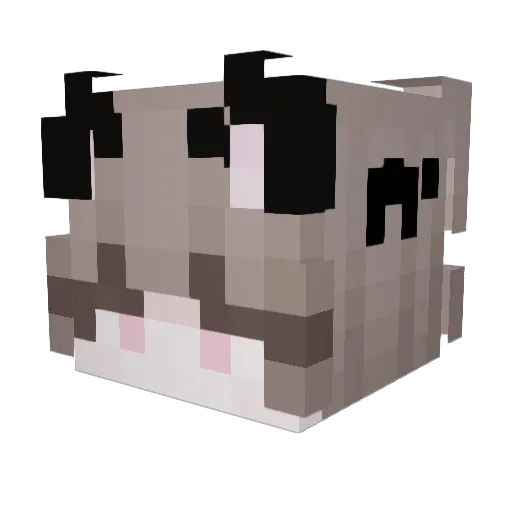 sh1down Minecraft avatar head, 3D render