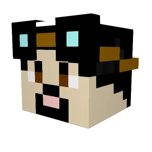 sh1gsy Minecraft avatar head, 3D render