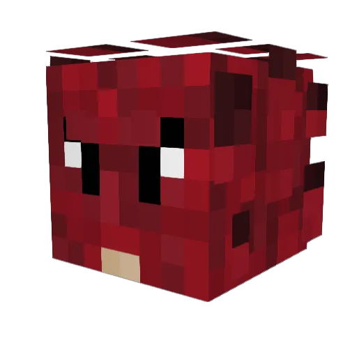 sh1iva Minecraft avatar head, 3D render