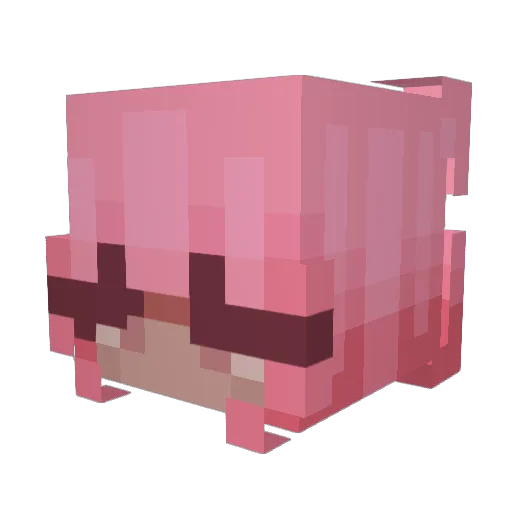 sh1r Minecraft avatar head, 3D render