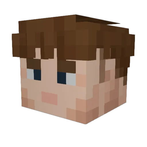 sh2ne Minecraft avatar head, 3D render