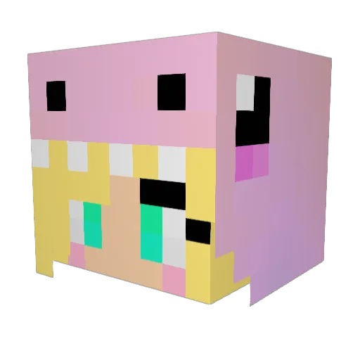 sh3lbs222 Minecraft avatar head, 3D render