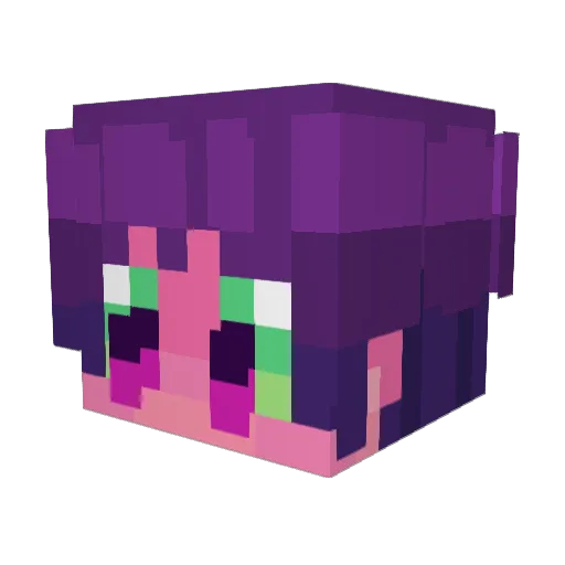sh3saw1tch Minecraft avatar head, 3D render