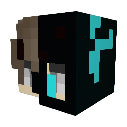 sh4ix Minecraft avatar head, 3D render