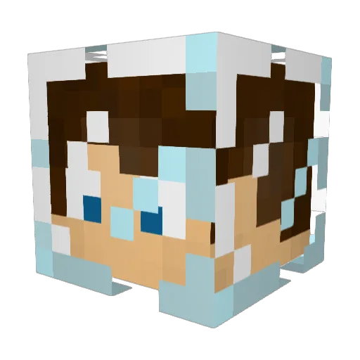 sh4wk_ Minecraft avatar head, 3D render