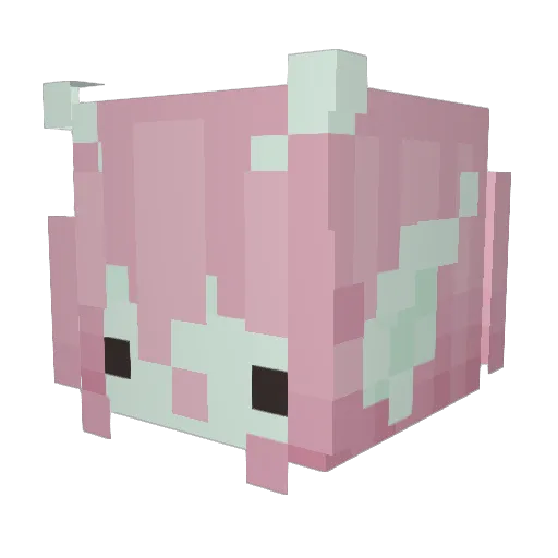 sh9rks Minecraft avatar head, 3D render