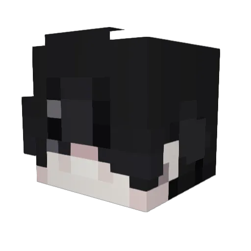 shCorew4j Minecraft avatar head, 3D render