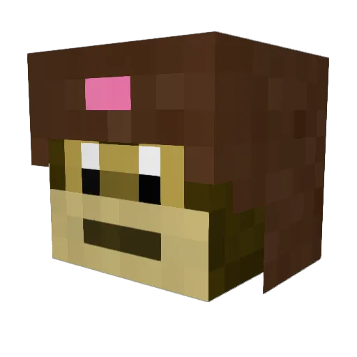 shRIMPY__ Minecraft avatar head, 3D render
