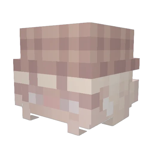 shaanon Minecraft avatar head, 3D render