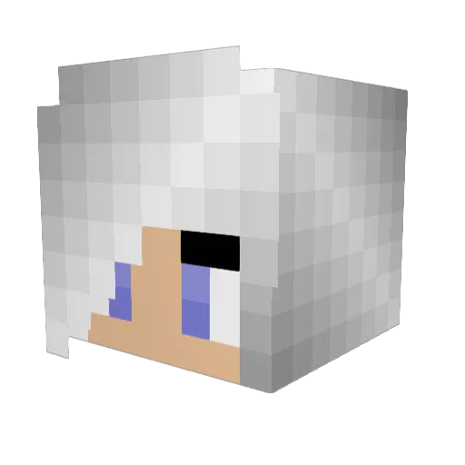 shaaoo Minecraft avatar head, 3D render