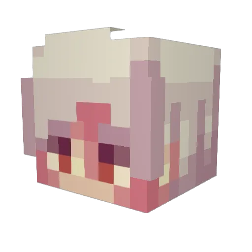 shab3r Minecraft avatar head, 3D render
