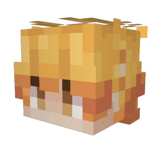 shabdmoogey Minecraft avatar head, 3D render