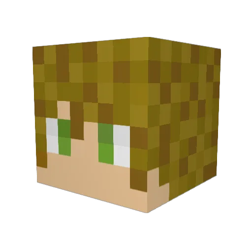 shack2103 Minecraft avatar head, 3D render