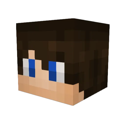 shacky7 Minecraft avatar head, 3D render