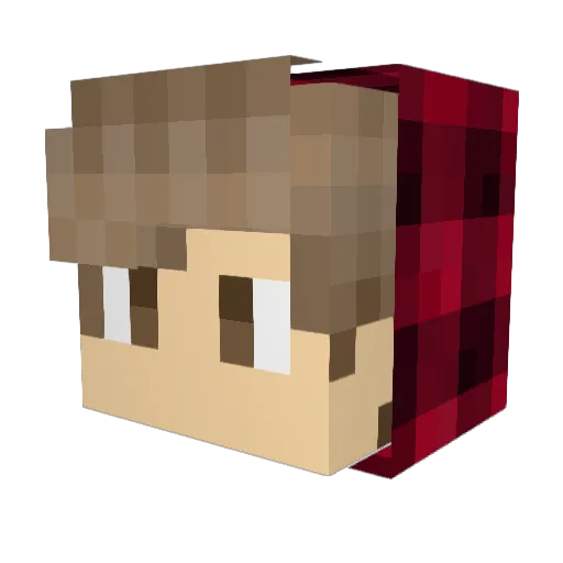 shad0ww Minecraft avatar head, 3D render