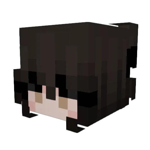 shadcw Minecraft avatar head, 3D render
