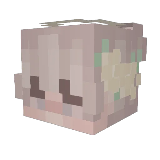 shaddxe Minecraft avatar head, 3D render