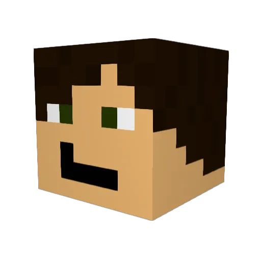 shademan_11 Minecraft avatar head, 3D render