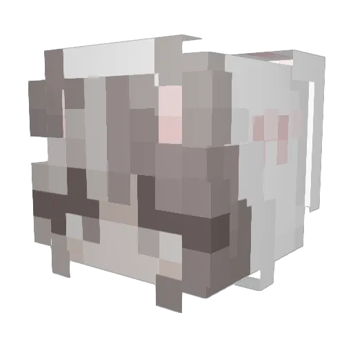shadesofcoolq Minecraft avatar head, 3D render