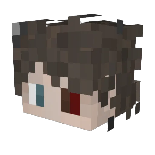 shadflies Minecraft avatar head, 3D render