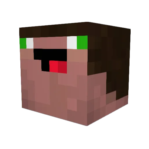 shadoWalrus Minecraft avatar head, 3D render