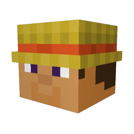 shadoogin Minecraft avatar head, 3D render