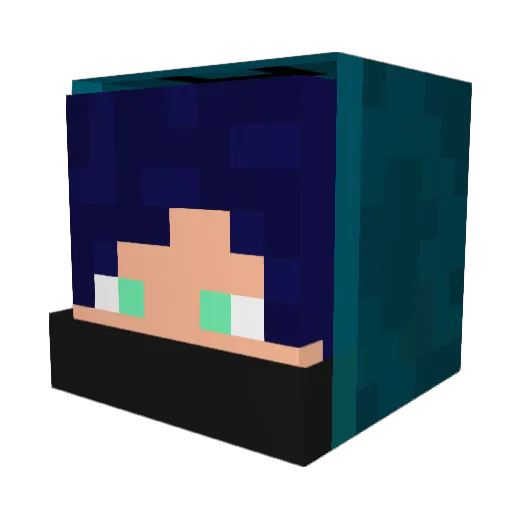 shadow3010 Minecraft avatar head, 3D render