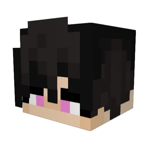 shadow5736 Minecraft avatar head, 3D render