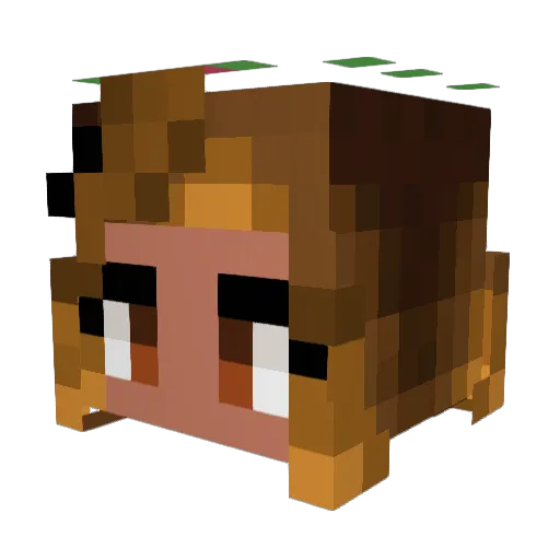 shadow8871 Minecraft avatar head, 3D render