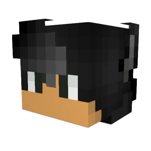 shadowFury117 Minecraft avatar head, 3D render