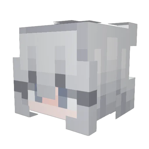 shadowX_V2 Minecraft avatar head, 3D render