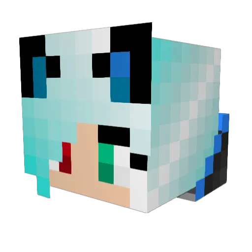 shadowXdragon13 Minecraft avatar head, 3D render