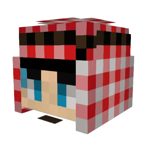 shadow_002_ Minecraft avatar head, 3D render