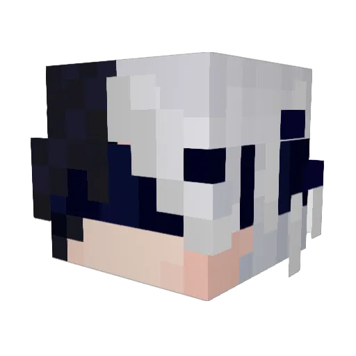 shadow_fighter20 Minecraft avatar head, 3D render