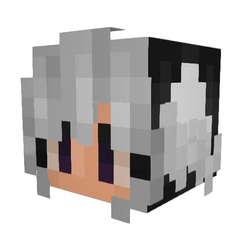 Minecraft-Avatar von shadow_mooncake: Kopf als 3D-Render